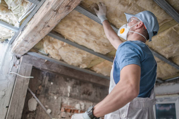 Types of Insulation We Offer in Port Angeles East, WA