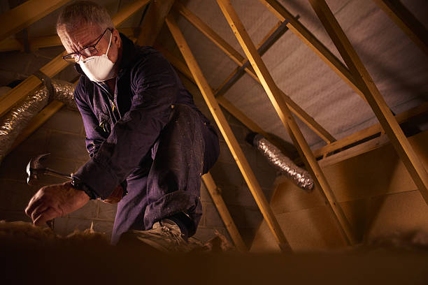 Types of Insulation We Offer in Port Angeles East, WA